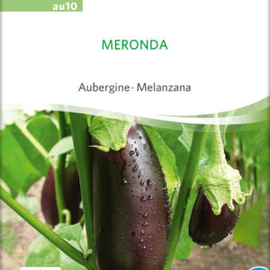 Aubergine - Meronda - ØKO