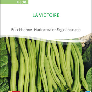 Buskbønne - La Victoire - ØKO