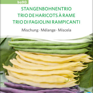 Stangbønne MIX - ØKO