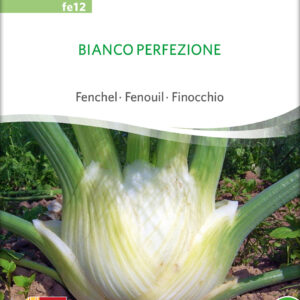 Knold fennikel - Bianco Perfezione - ØKO