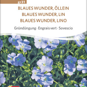 Almindelig Hør - Linum usitatissimum - ØKO