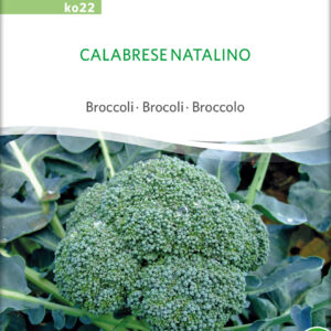 Broccoli - Calabrese Natalino - ØKO