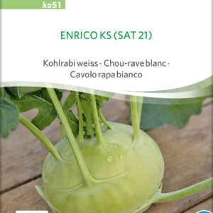 Kålrabi - Enrico KS - ØKO