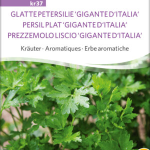 Persille - Gigante D'Italia - ØKO