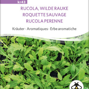 Rucola - Flerårig - ØKO