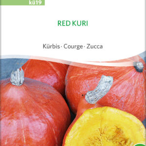 Hokaido - Red Kuri - ØKO