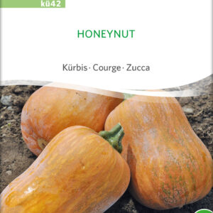 Honeynut Squash - ØKO