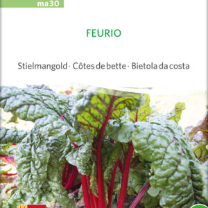 Bladbede - Feurio - ØKO