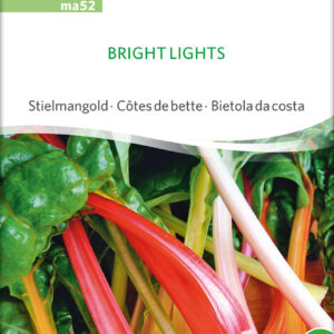Bladbede - Bright Lights - ØKO