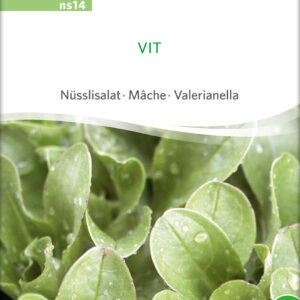 Vårsalat - Vit - ØKO