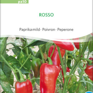 Peberfrugt - Rosso - ØKO
