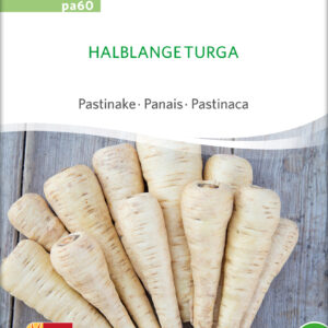 Pastinak - Turga - ØKO