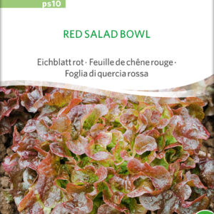 Salad Bowl rød - pluksalat - ØKO