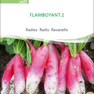 Radise - Flamboyant 2 - ØKO