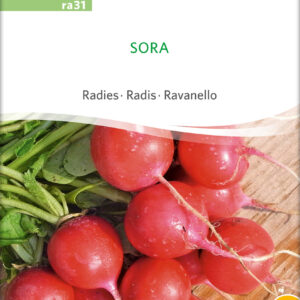 Radise - Sora - ØKO