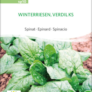 Spinat - Verdil KS - ØKO