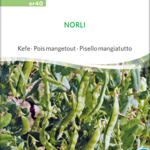 Sukkerært - Norli - ØKO