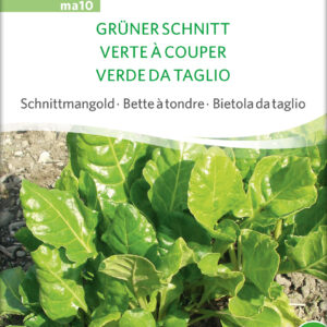 Bladbede - Schnittmangold - Grüner Schnitt - ØKO