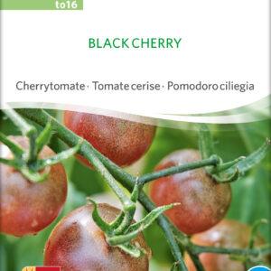 Tomat - Black Cherry - ØKO