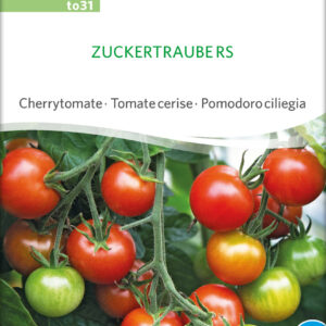 Tomat - Zuckertraube RS - ØKO