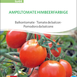Tomat - Ampel - ØKO