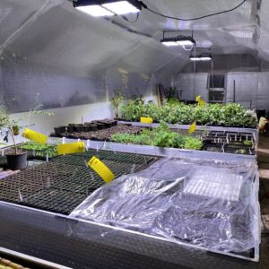 LedLife GX8 series - Grolys