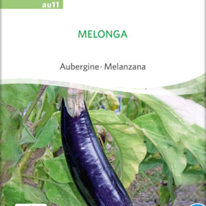 Aubergine - Melonga - ØKO