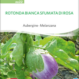Aubergine - Rotonda Bianca DI Rosa - ØKO