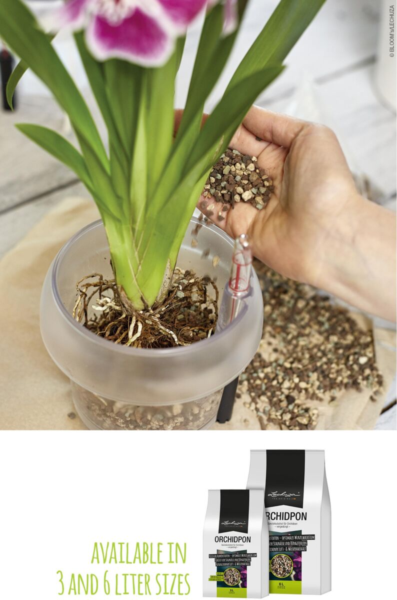 LECHUZA ORKIDE PON plantesubstrat - Billede 3
