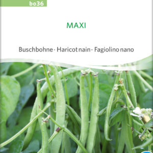 Buskbønne - Maxi - ØKO