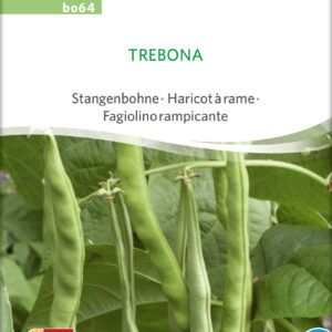 Pralbønne - Trebona - ØKO