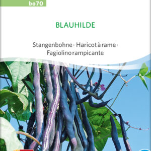 Stangbønne - Blauhilde - ØKO