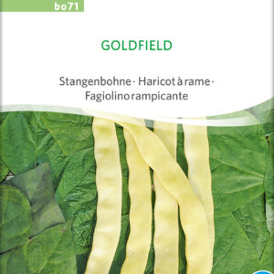 Stangbønne - Goldfield - ØKO
