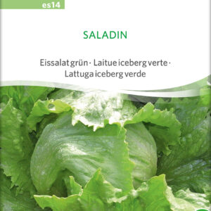 Salat - Saladin - ØKO