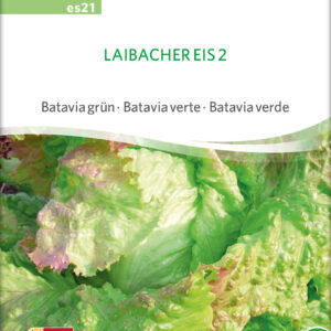 Salat - Laibacher Eis 2 - ØKO