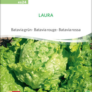 Salat - Laura - ØKO