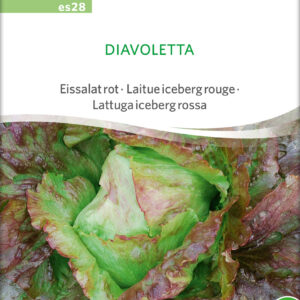 Salat - Diavoletta - ØKO