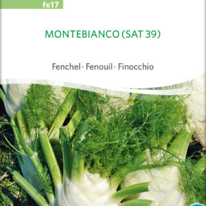 Fennikel - Montebianco - ØKO