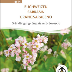 Boghvede - BUCKWHEAT - ØKO