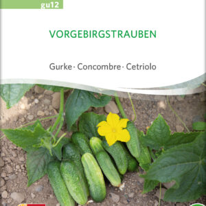 Agurk - Vorgebirgstrauben - ØKO