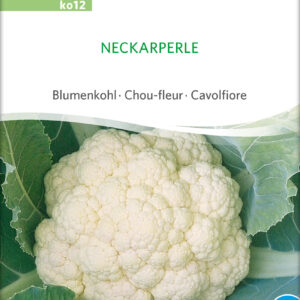 Blomkål - Neckarperle - ØKO