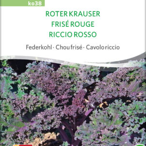 Grønkål- Roter Krauser - ØKO
