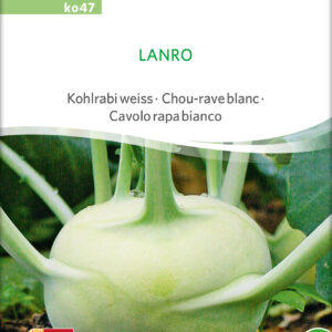 Kålrabi - Lanro - ØKO