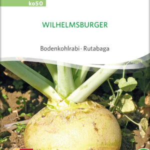 Kålroe/Kålrabi - Wilhelmsburger- ØKO