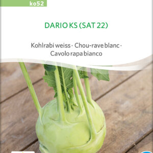 Kålrabi - Dario ks- ØKO
