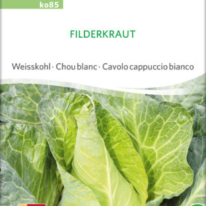 Spidskål - Filderkraut- ØKO