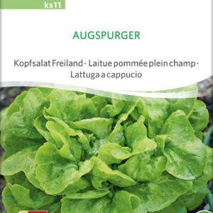 Salat - Augspurger- ØKO