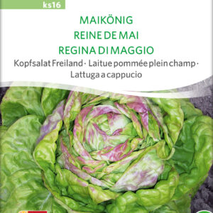 Salat - Regina Di Maggio - ØKO