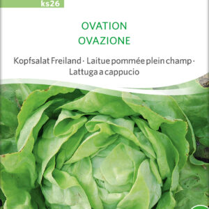 Salat - Ovation - ØKO