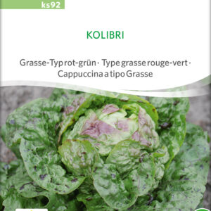 Salat - Kolibri - ØKO